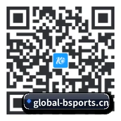 系统版 Android 二维码